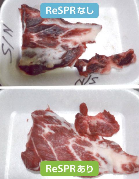 肉の比較