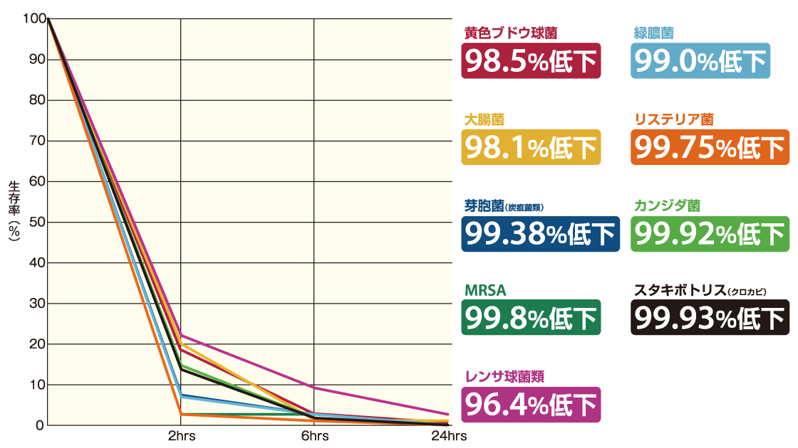 一般的な細菌の24時間除菌効果試験